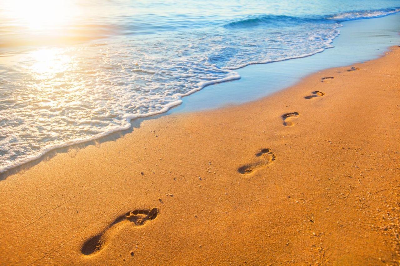 Miramar Beach Home Walk To Beach Trails Restaurants Family Activities Half Moon Bay Exteriér fotografie