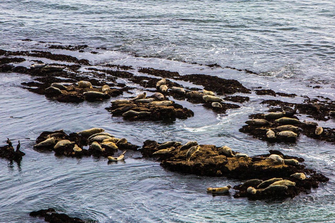 Miramar Beach Home Walk To Beach Trails Restaurants Family Activities Half Moon Bay Exteriér fotografie